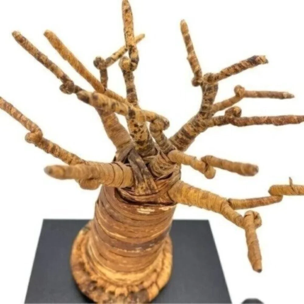 African Baobab Ornament Tree Sculpture and War Club